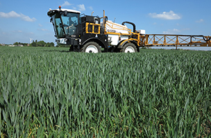 Boosting chlorophyll levels could pay dividends this season