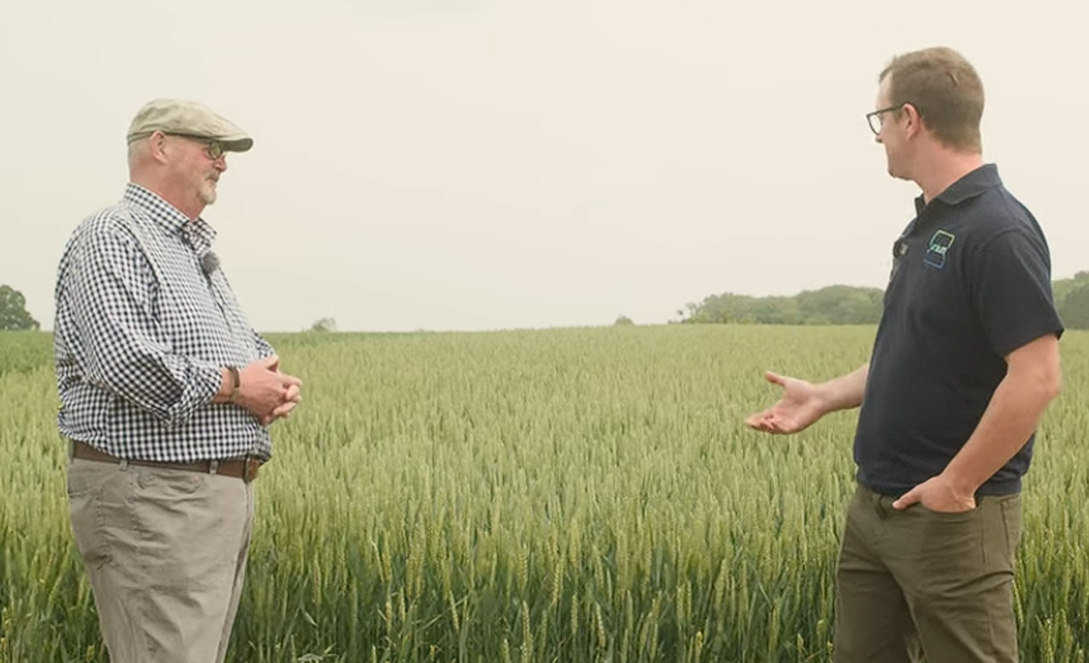 How 3ALO t6p supports emerging crop development