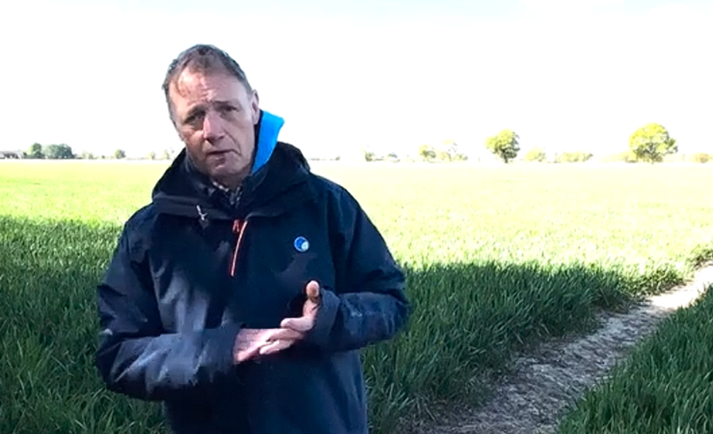 Maximise phosphorus delivery with Luxor