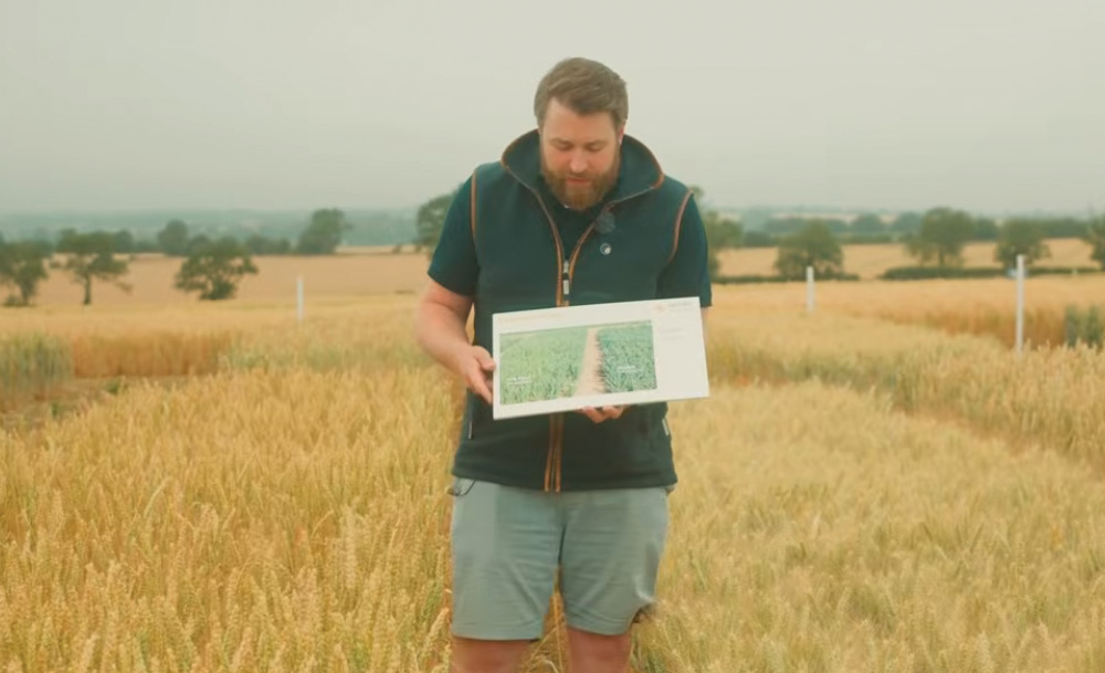 October-sown STR Pace - a sprinter wheat offering sowing-date flexibility