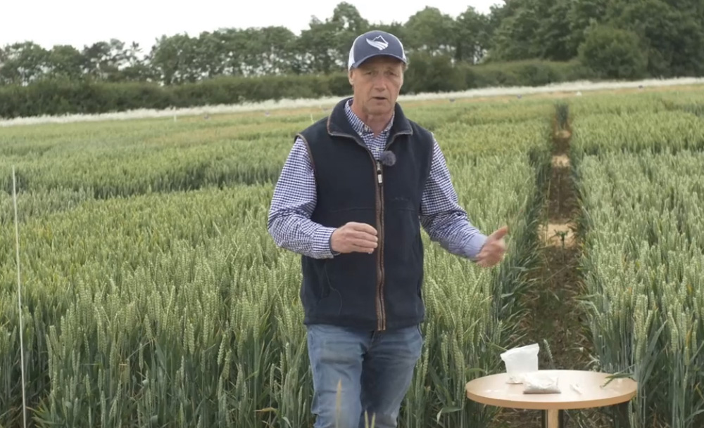 Phosphate use efficiency - Lamport AgX