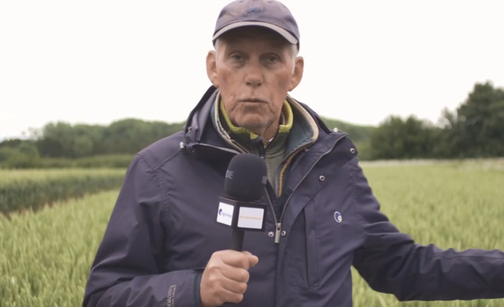 The Journey to maximising September-sown wheat - Lamport AgX