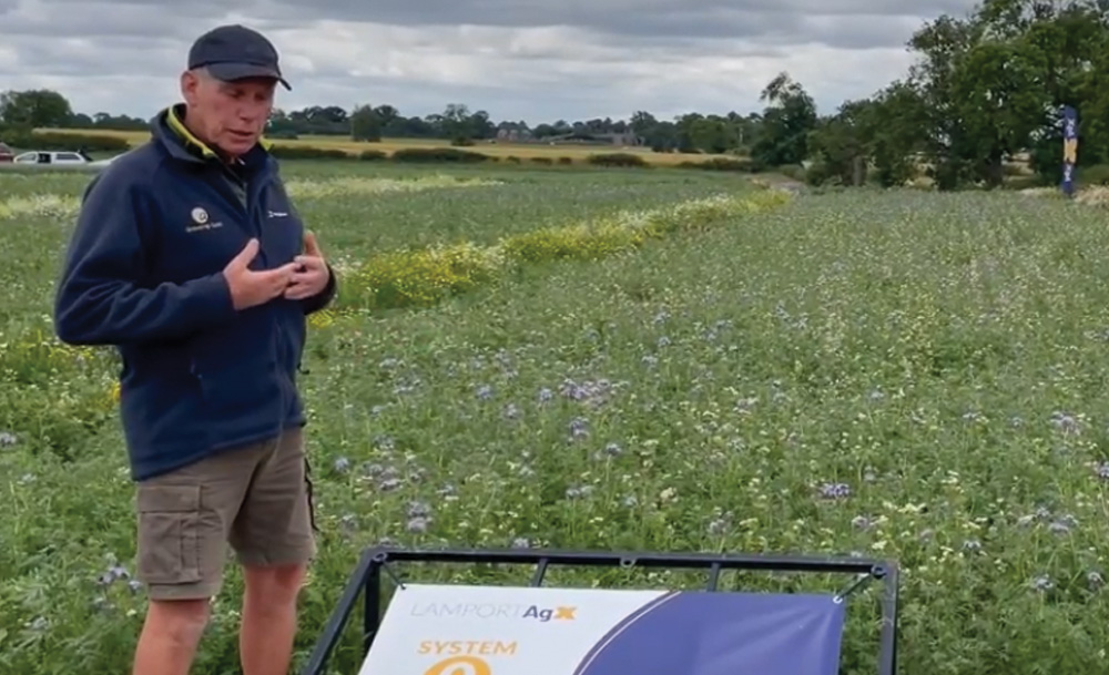 Spring cover crops - Lamport AgX