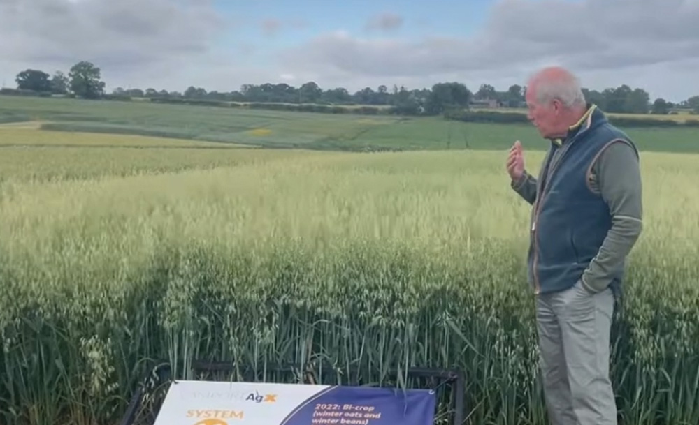 Winter oats following cover crops - Lamport AgX