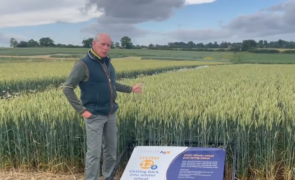 Could we come back into winter wheat after spring wheat?