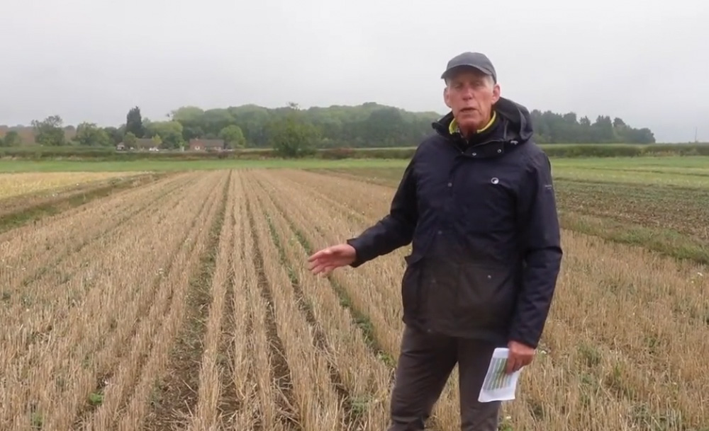 Creating an environment for blackgrass amongst the cover