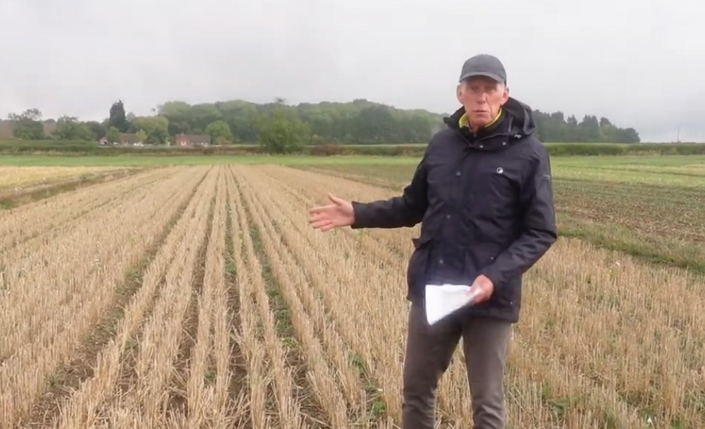 Establishing cover crops into standing wheat pre-harvest
