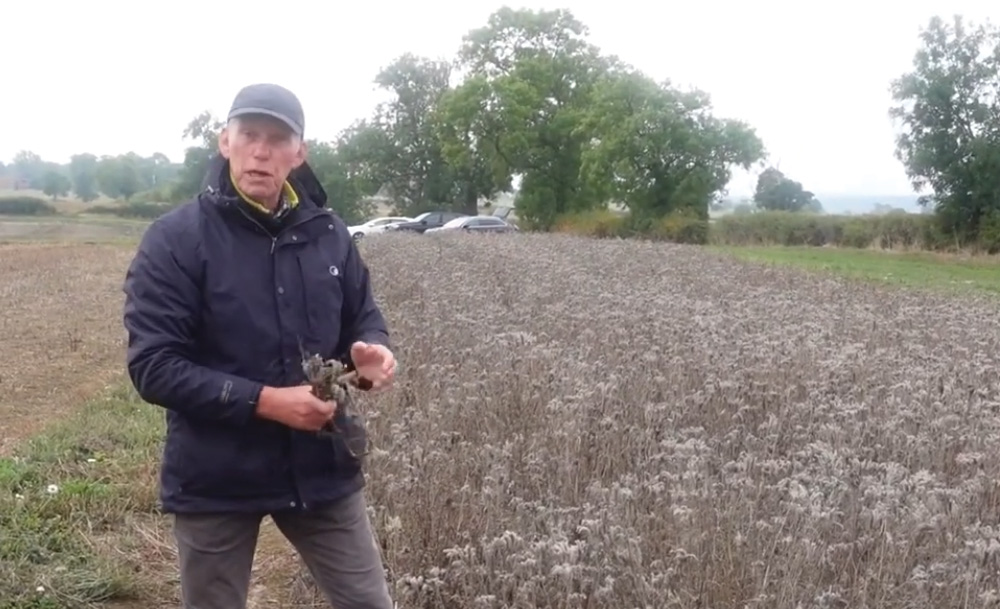 Comparing disc and tine direct drilling - Lamport AgX