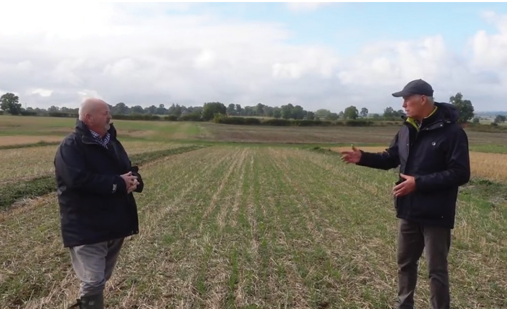 Alternating between spring and winter wheat - Lamport AgX