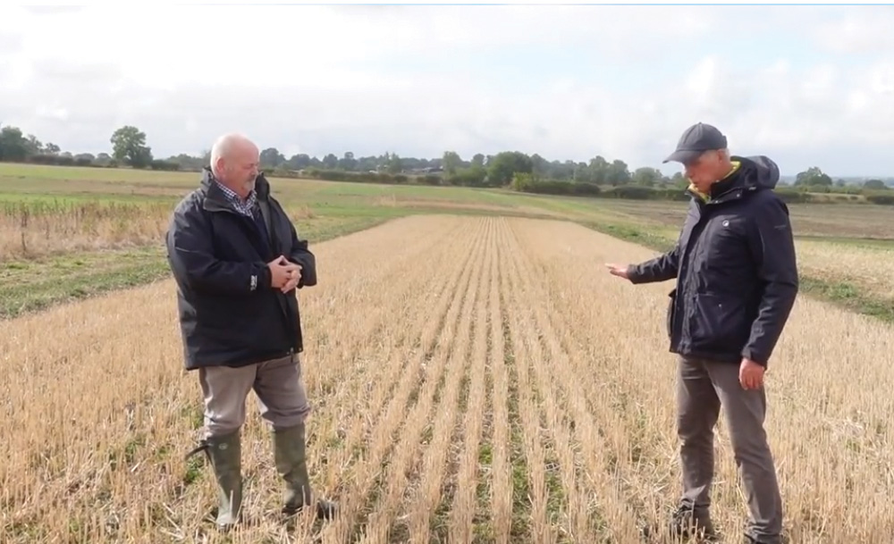 Establishing a clover mulch with winter wheat - lamport AgX