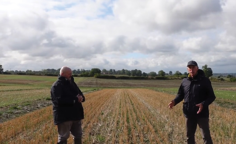 Bi-cropping to maximise winter oat production - Lamport AgX