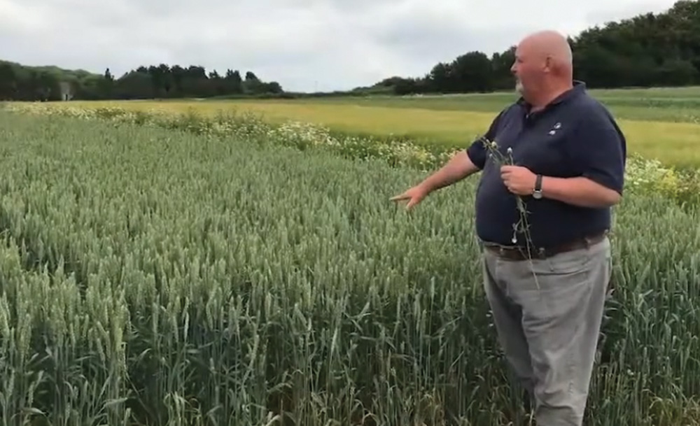 Lamport AgX systems update