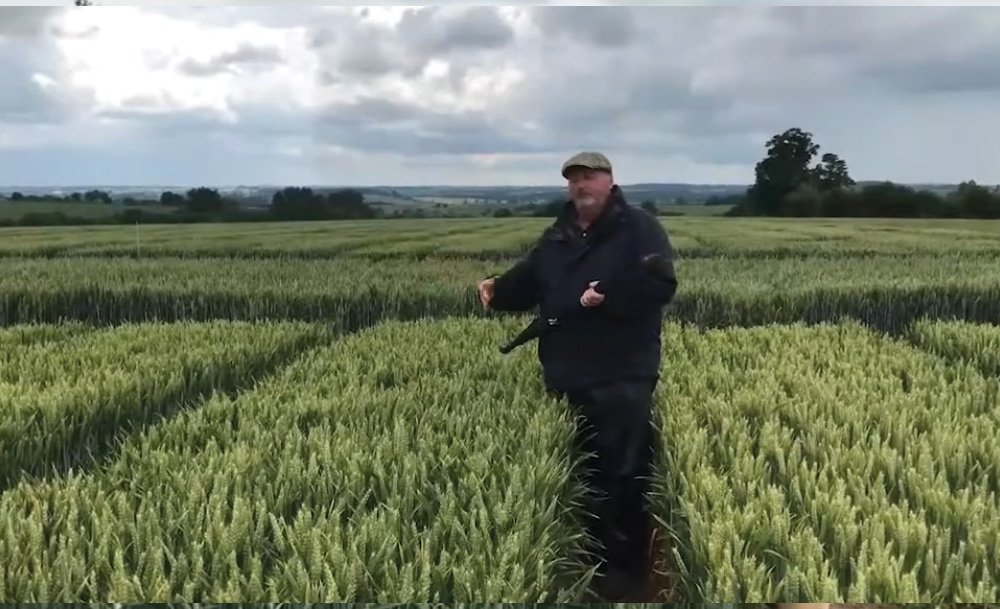Biostimulant trials at AgX Draughton
