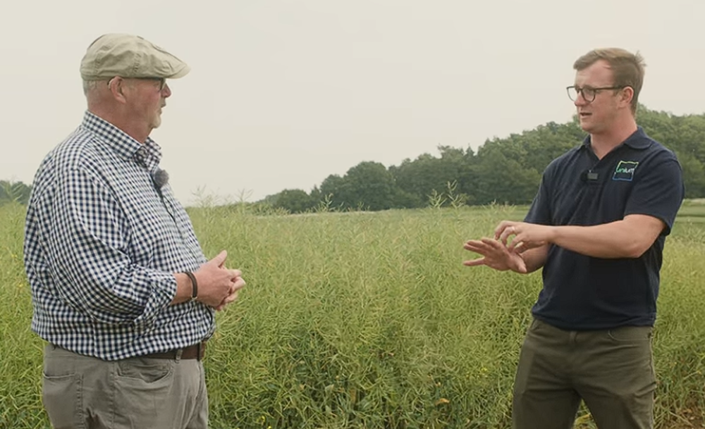 Maximise phosphorus delivery with Luxor PGA