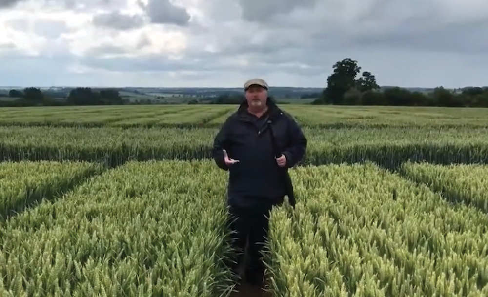 Exploring different ways of fertilising crop