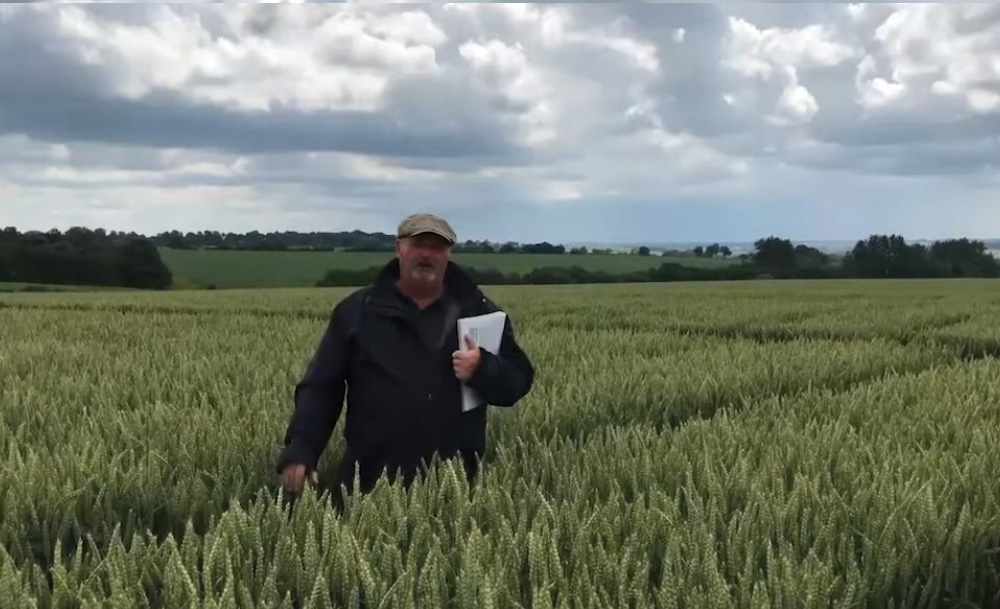 Seed treatment trials at AgX Draughton