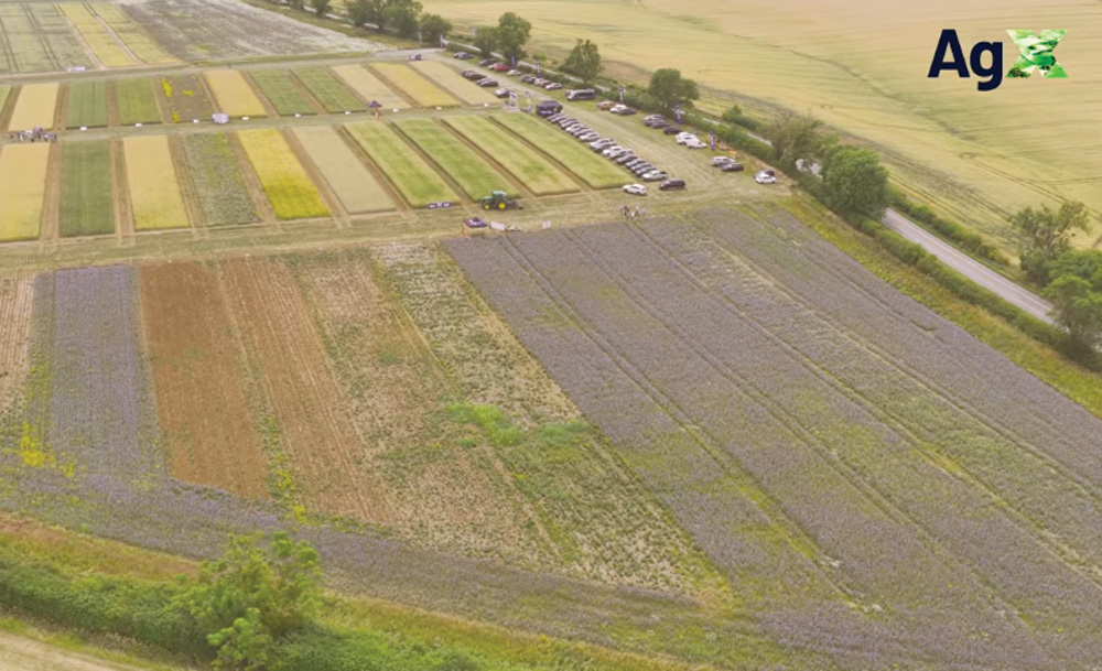 Grower feedback from Lamport AgX 2025