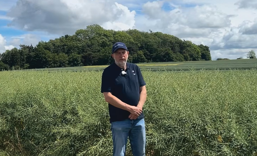 SeaBoost - Improving soil health