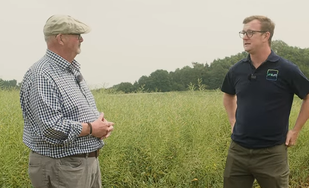 Nutrient efficiency and crop establishment with Luxor