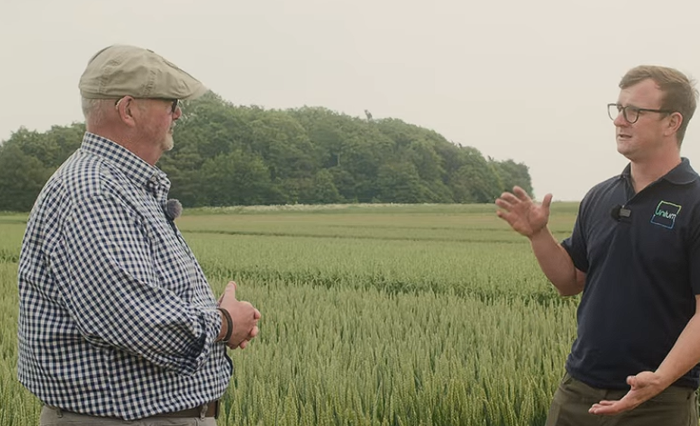 Maximise Potassium for Stronger, Healthier Crops – Wholly K Explained