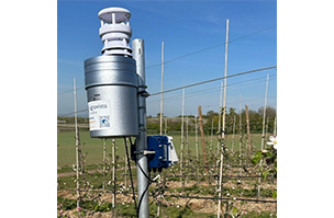Fruit Insight 4G weather station